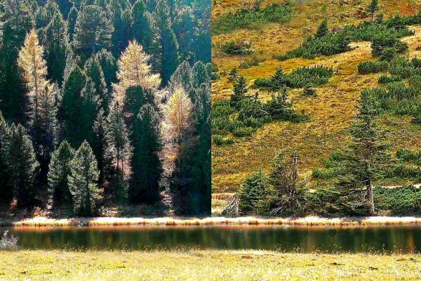 Witerleiten jetzt und Zukunft